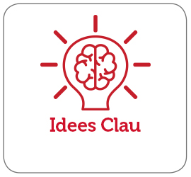 Imatge d'un icona que representa un àlgebra amb un cervell dins, simbolitzant idees. Deboa, el text Idees Clau en vermell.