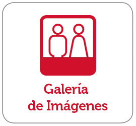 Imagen de un cuadrado rojo con un icono de dos figuras humanas de perfil. Sobre el icono, el texto Galería de Imágenes en español.