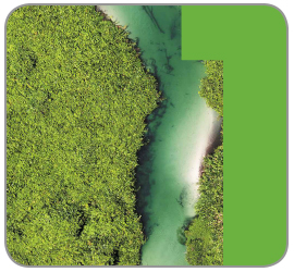 Image of a landscape with dense vegetation on the left and a river flowing towards the center, with a bluish color in the water.