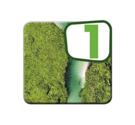 Image with a green background simulating vegetation and a highlighted number 1 on a white rectangle.